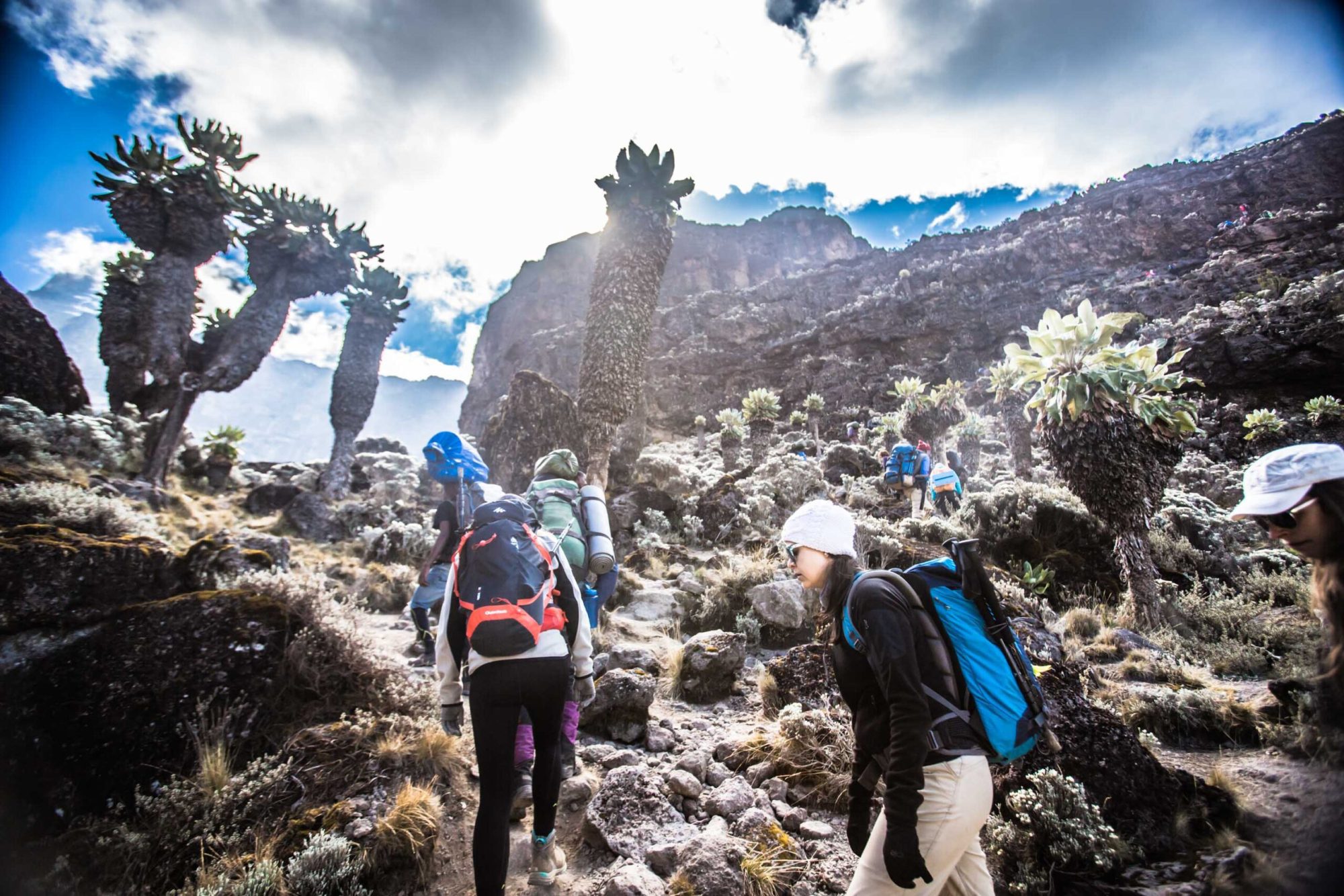 northerncircuit9days scaled - Kilimanjaro trek