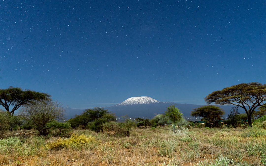 Kilimanjaro Tours for Beginners: Climb Africa’s Highest Peak Without Losing Your Mind