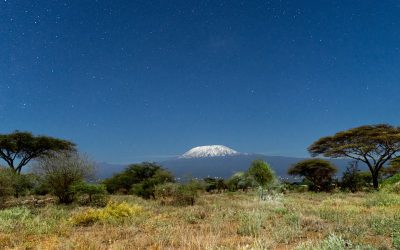 Kilimanjaro Tours for Beginners: Climb Africa’s Highest Peak Without Losing Your Mind