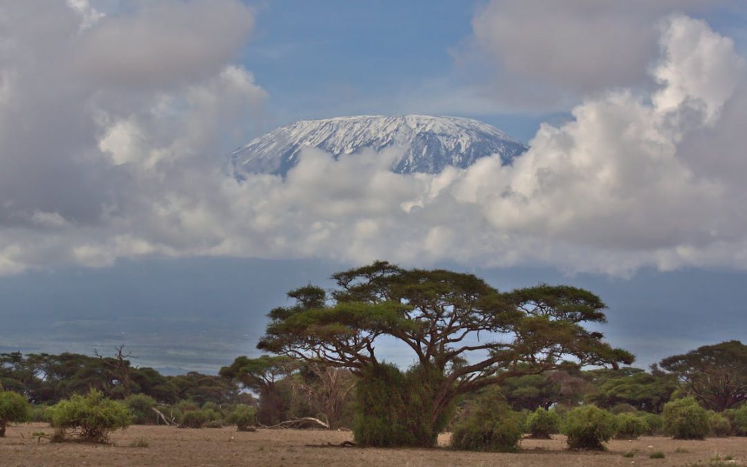 Why Is Mountain Kilimanjaro Important to Africa, Science, and Your Bucket List?