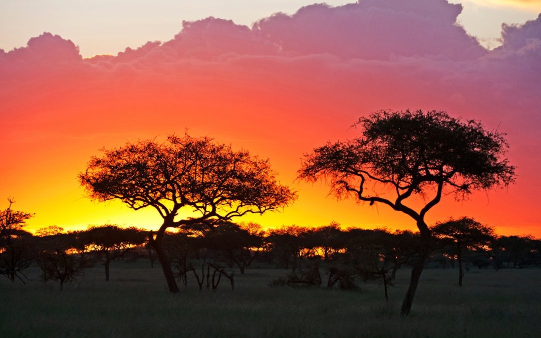 5 day tanzania safari