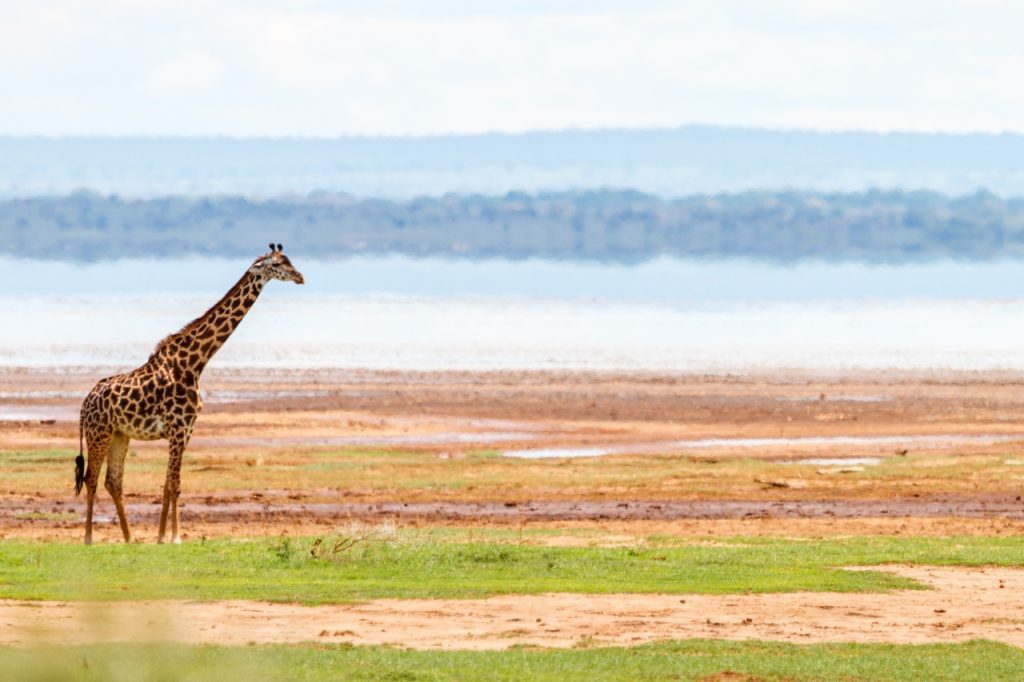 Lake Manyara
