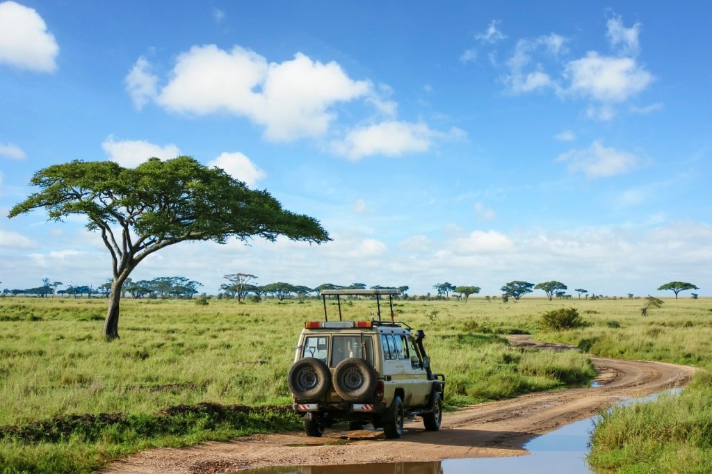 guided safari tours